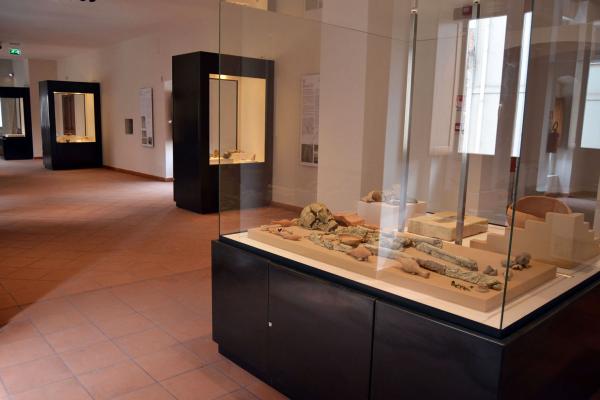 Il Museo Archeologico di Palazzo Nieddu del Rio