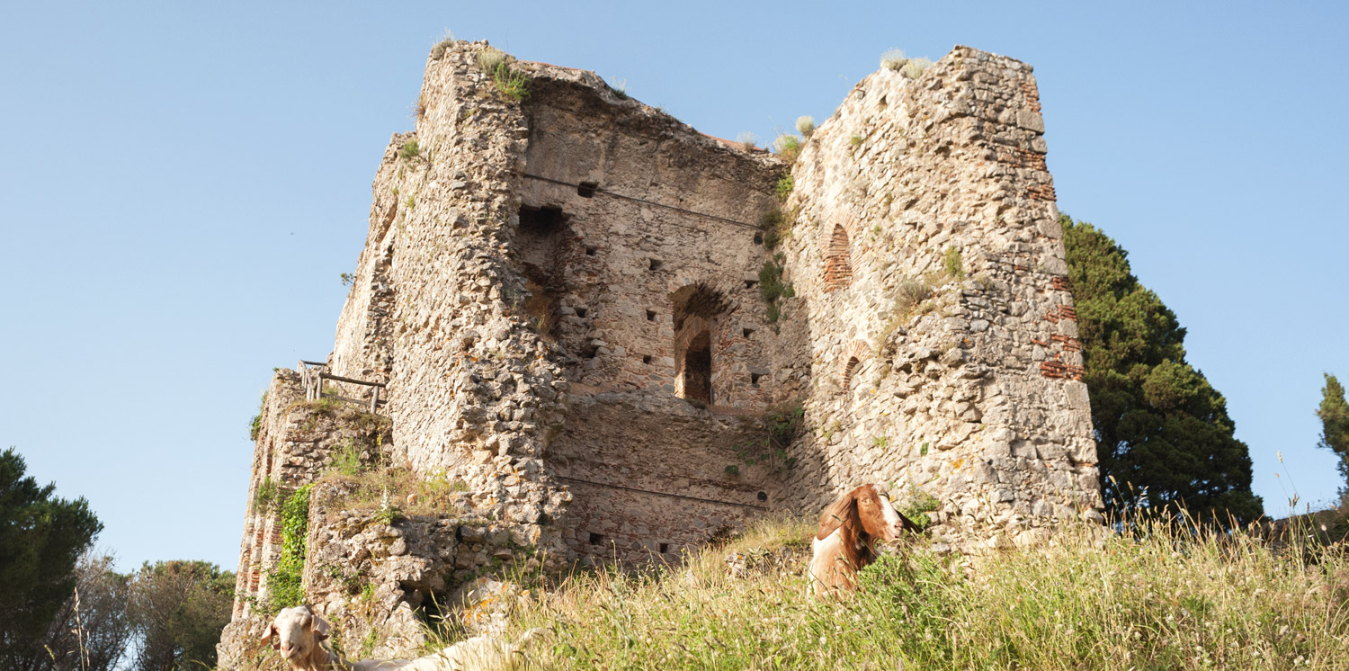 The Castle of S.Giorgio Morgeto