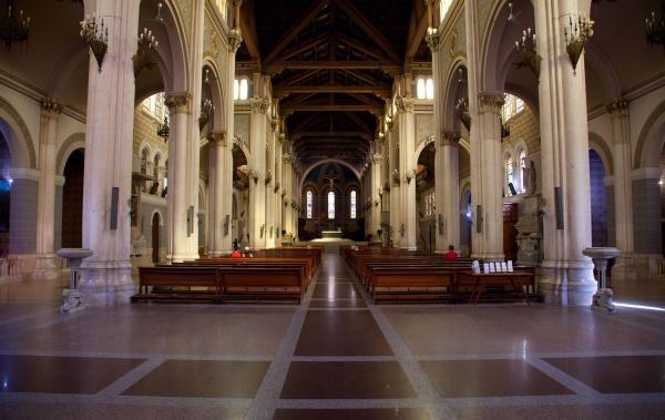 The Reggio Calabria Cathedral 