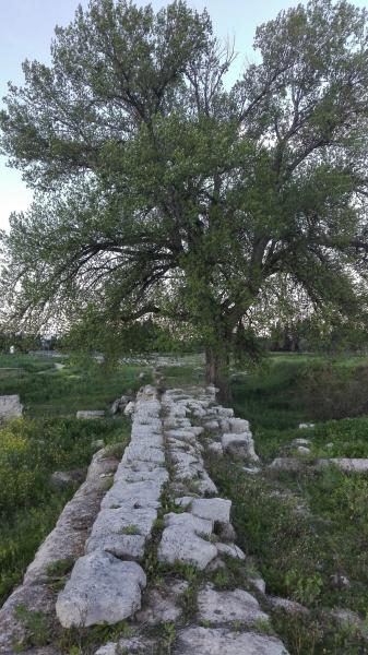 Archaelological Park of Locri Epizefiri